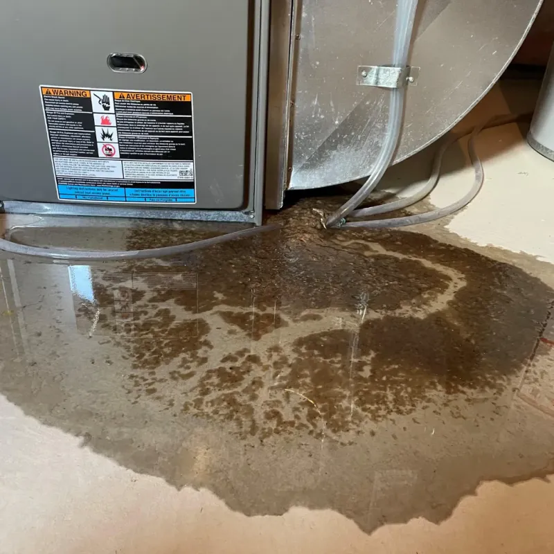 Appliance Leak Cleanup in Russell, PA