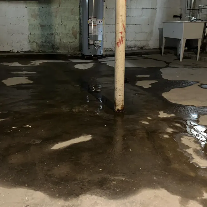 Emergency Water Extraction And Removal in Russell, PA